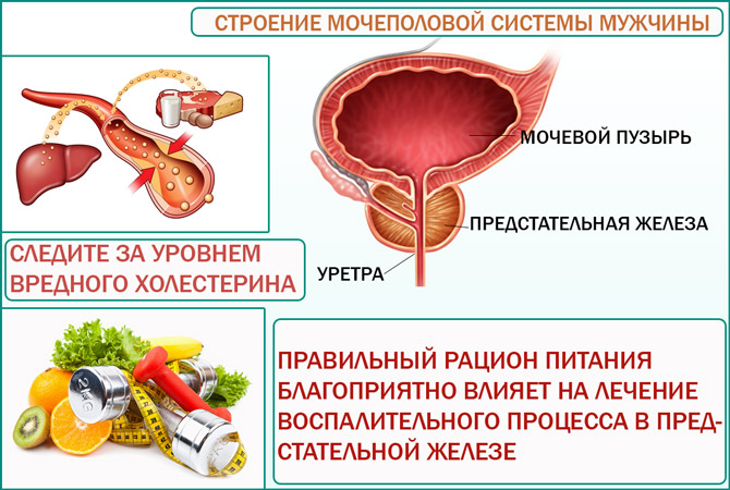 Диета Мочеполовая Система У Мужчин Инфекция