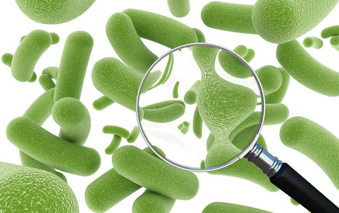 Спасение микрофлоры кишечника и список лучших пробиотиков для детей и взрослых