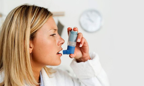 астма и цикорий