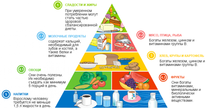 Пирамида питания при ожирении