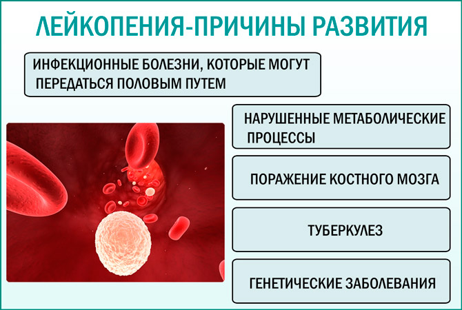 Лейкоцитоз в крови причины