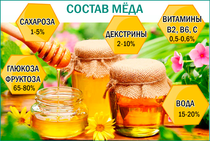 Какие витамины содержатся в мёде