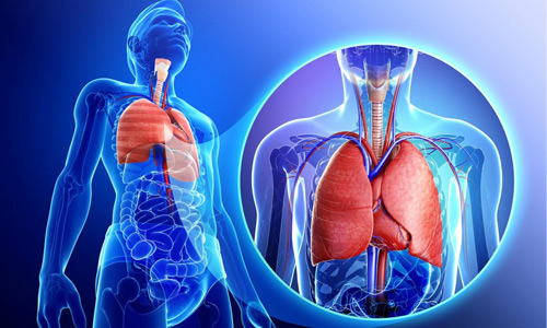 патологии дыхательной системы