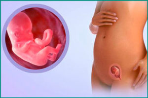 Внематочная беременность: признаки