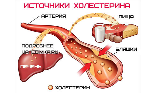 холестерин в крови